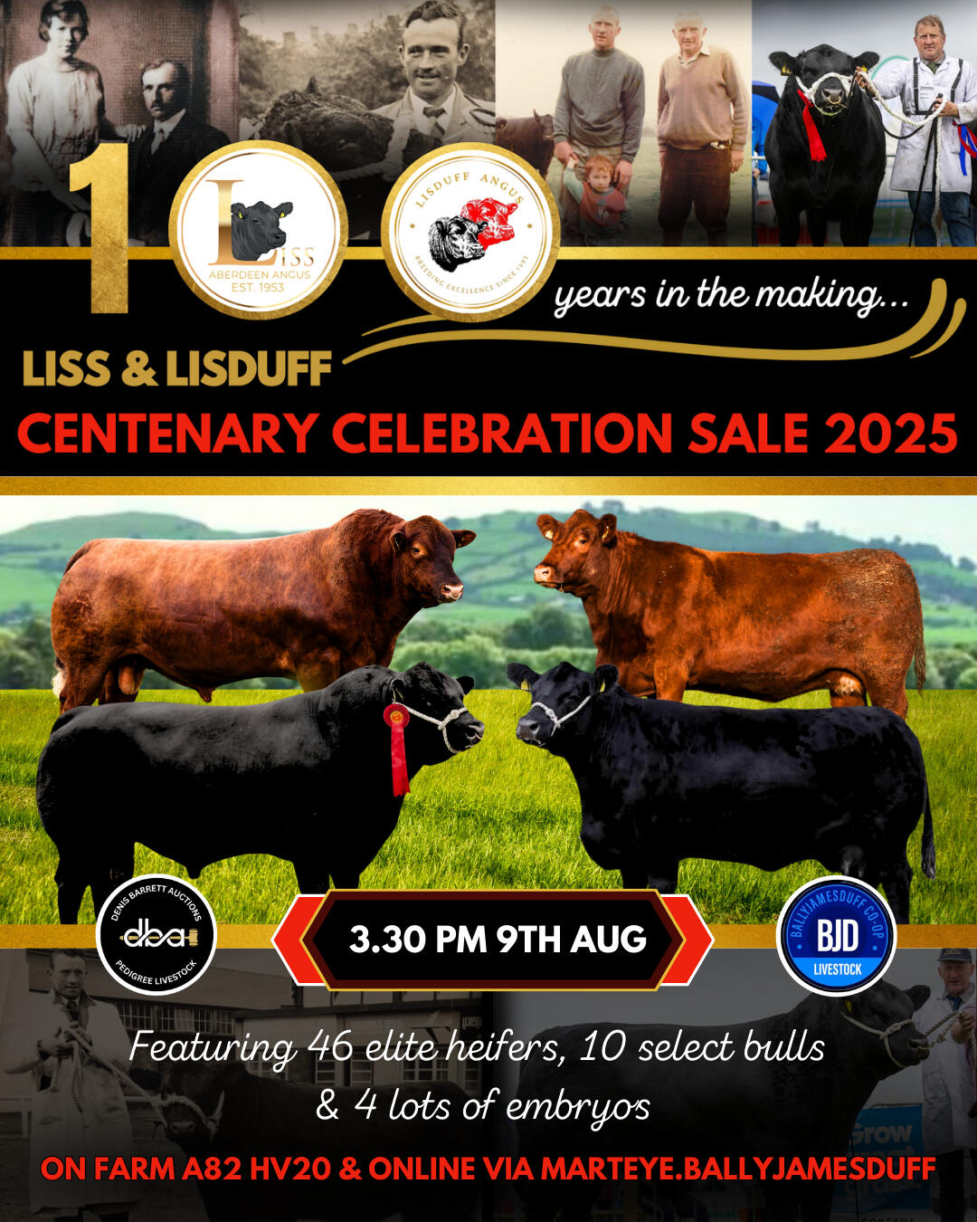 An Elite Angus cattle sale