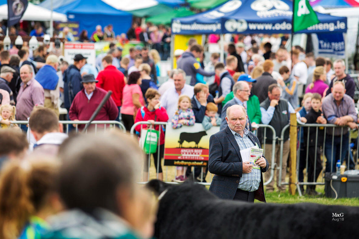 We will visit the national agriculture show of Ireland